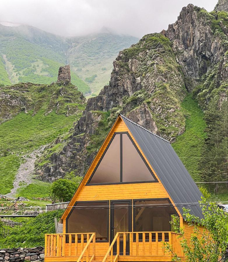 Pine Chalet Kazbegi Exterior photo